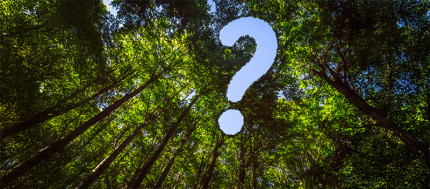 Q&A with Stella Thorndike, Head of Change and Sustainability Q&A with Stella Thorndike, Head of Change and Sustainability
