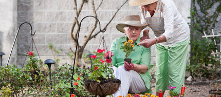 Organics Success: Turning Waste Into Impact Organics Success: Turning Waste Into Impact